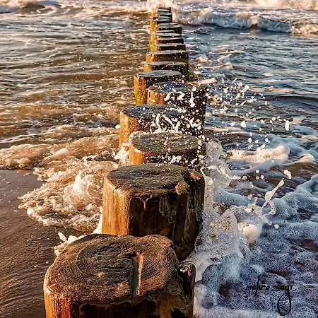 Na Poddaszu M.ch. - Daire