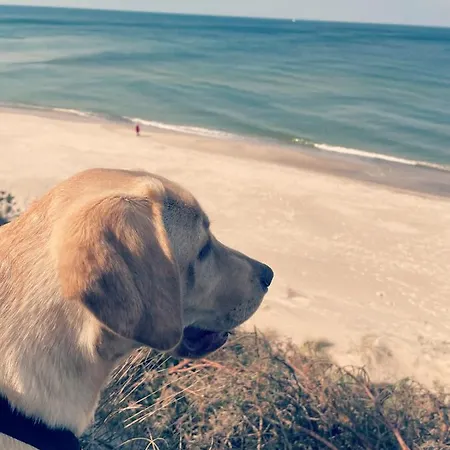 Daire Na Poddaszu M.ch. - Ustka