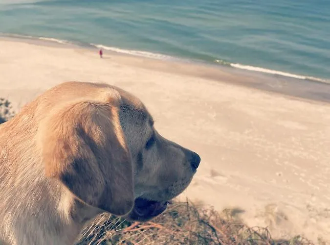 Apartment Na Poddaszu M.ch. - Stolpmünde